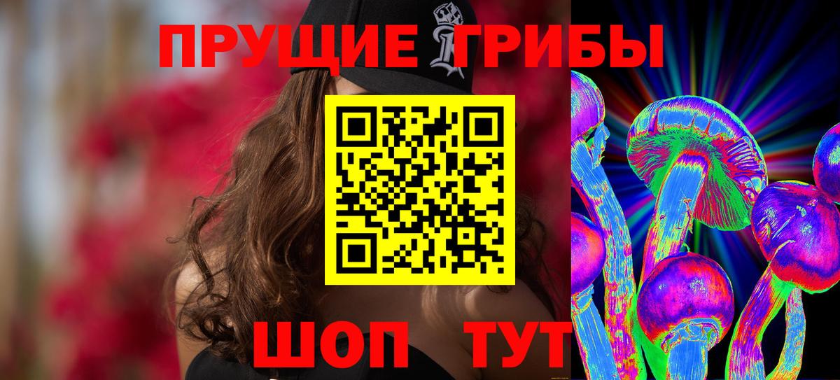 Светлоград  Псилоцибиновые грибы мухоморы  Вход с VPN 
